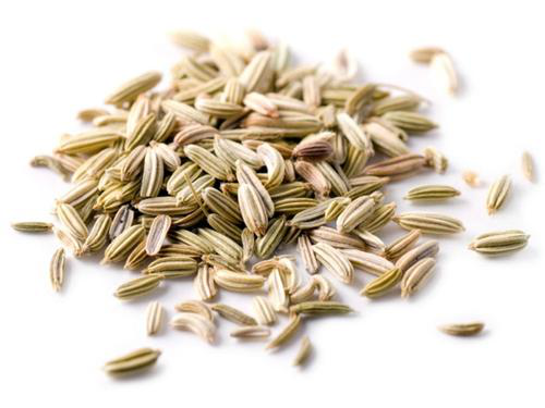 Fennel Seed Extract powder Fennel Seed Extract powder